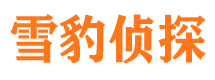 平江市侦探公司